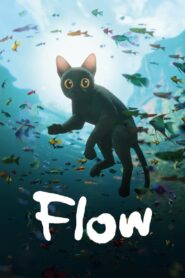Flow (2024) English – Full Movie Download & Watch FREE – 1Movia.com
