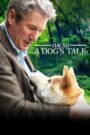 Hachi: A Dog’s Tale (2009) English – Full Movie Download & Watch FREE – 1Movia.com